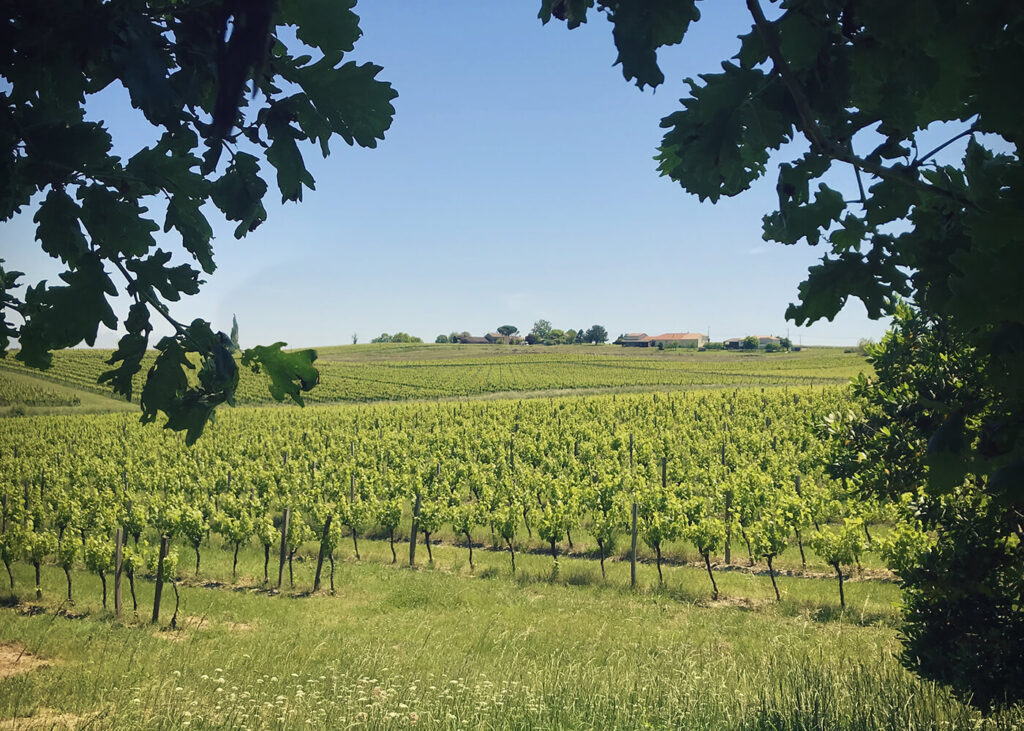 Domaine Chibaou