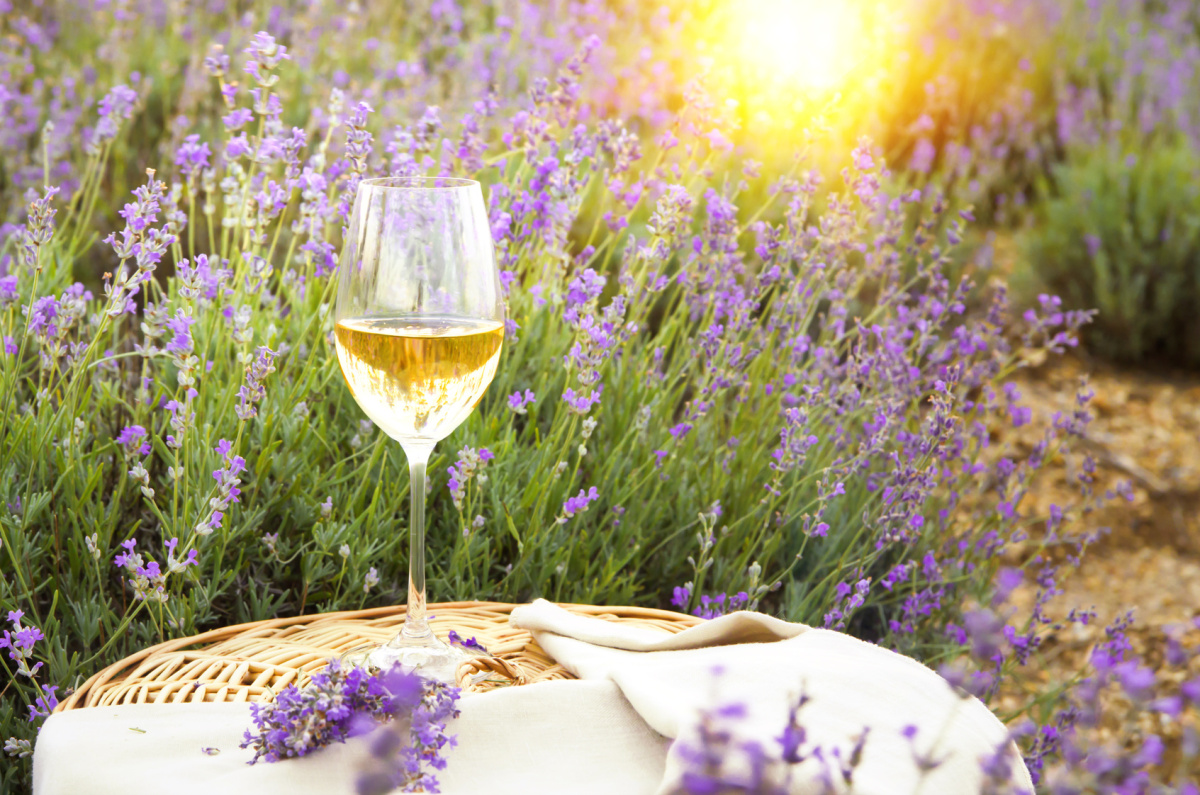 wine glass and lavender.