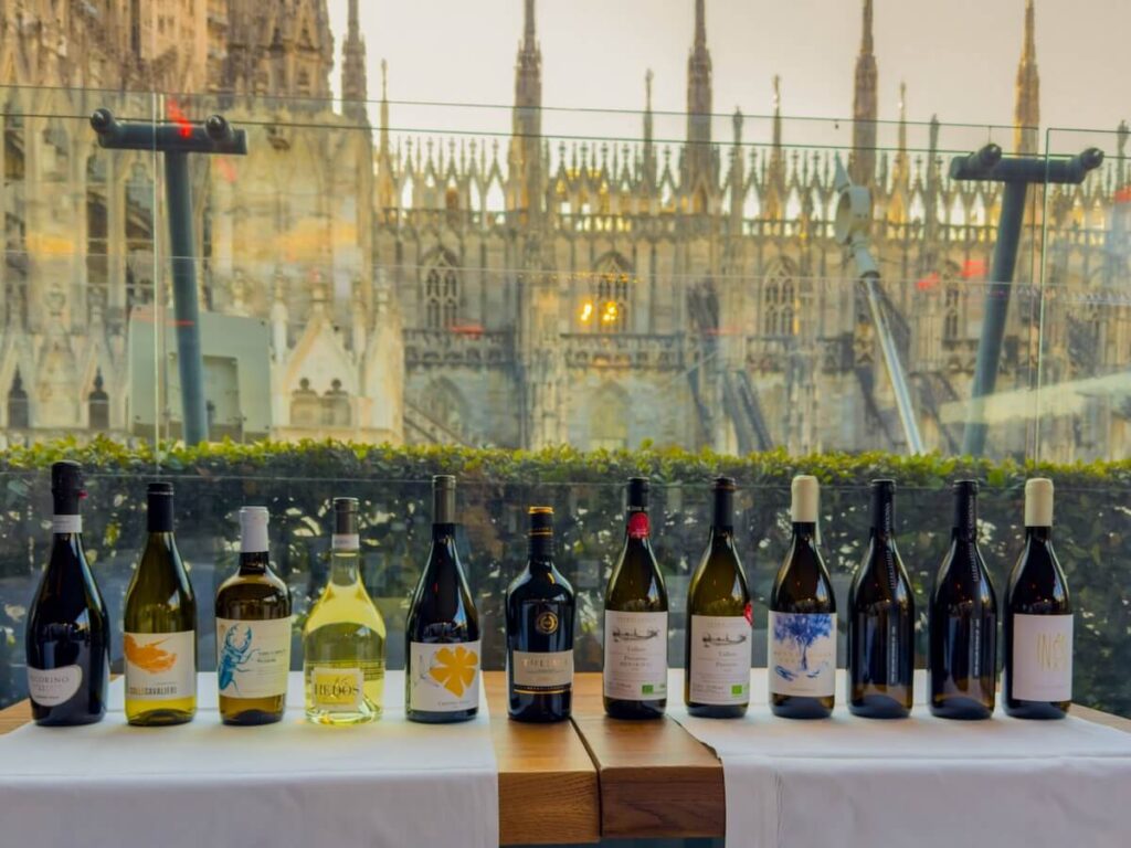 10 nuances de pecorino: Cantina Tollo raconte "son" natif