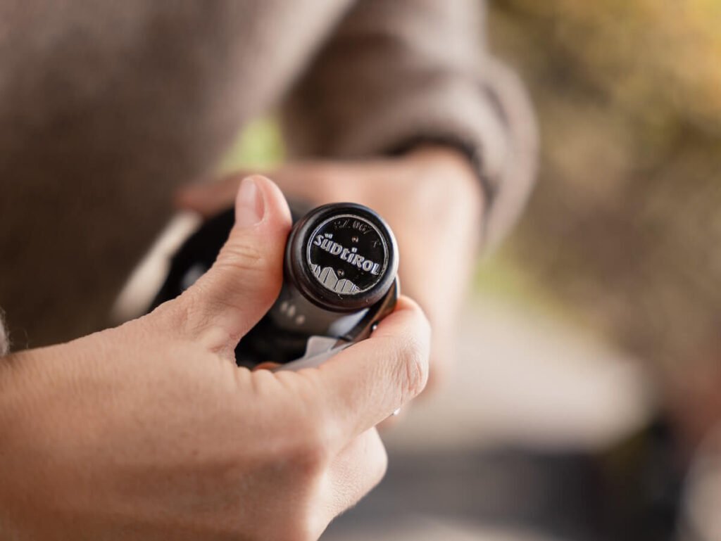 Quels sont les producteurs, étiquettes et vins du Tyrol du Sud le plus récompensé par les guides du vin: de Gambero Rosso à Veronelli