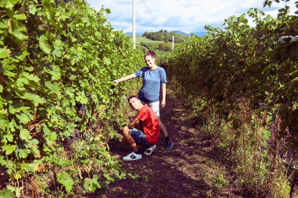 Inclusion, terroir et nouvelle entreprise: Marinella camerani et l'atelier AIAS ensemble pour les Mangiabottoni