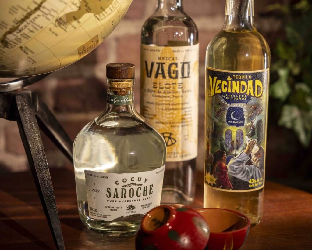 Compagnie des Caraïbes: la tournée Agavi a commencé à Turin