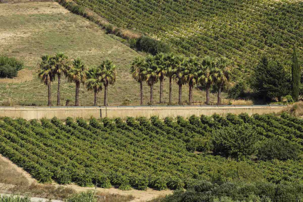 Stopain Sicilia: durabilité de plus en plus au centre du changement de vin sicilien