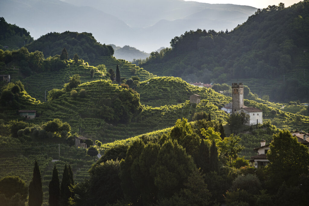 Clorofilla: un viaggio sensoriale tra le vigne di Conegliano Valdobbiadene