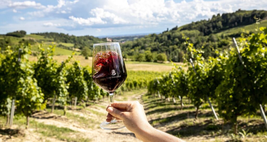 Le four 2024: le vignoble historien unique de Cascina Gilli raconte l'essentiel de la Freisa