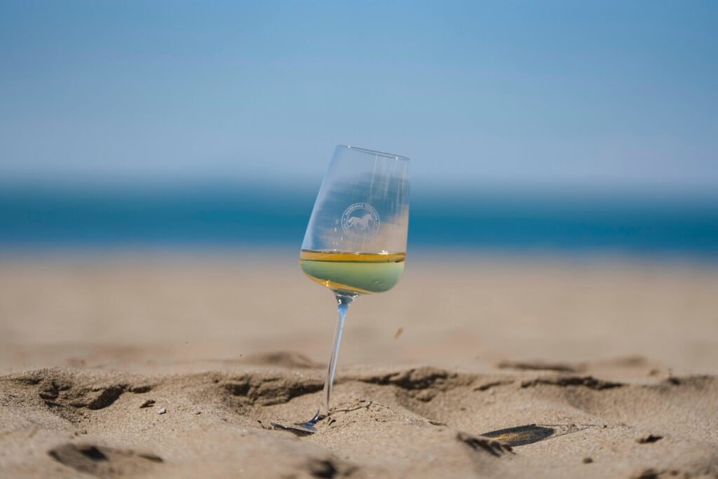 Découvrez le top 10 du Vermentino sélectionné au Grand Prix de Vermentino. Découvrez le meilleur des vins du Tuscan Maremma.