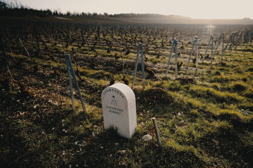 Domaine Alexandre Bonnet's Forêt Blanc de Noirrs 2020 Lands sur La Place de Bordeaux