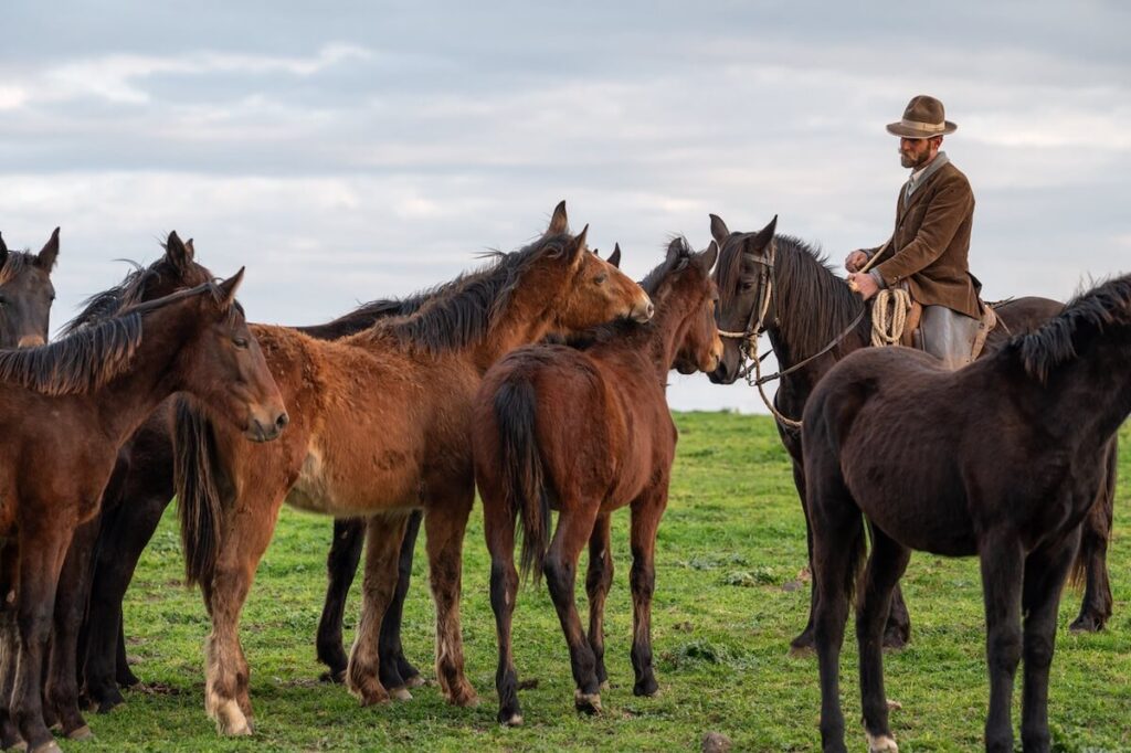 Il inaugure à Bolgheri (Li) le 24 mai à Piano Hunt, l'une des caves