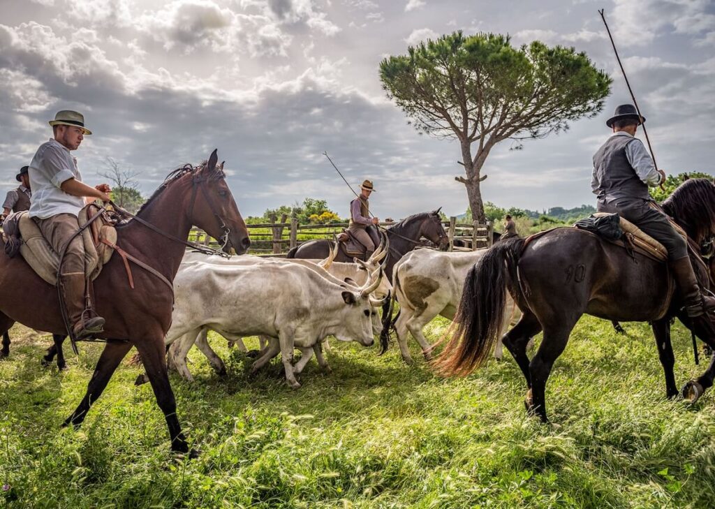 Bolgheri: Chasse sur le piano une exposition sur les "Cowboys italiens"