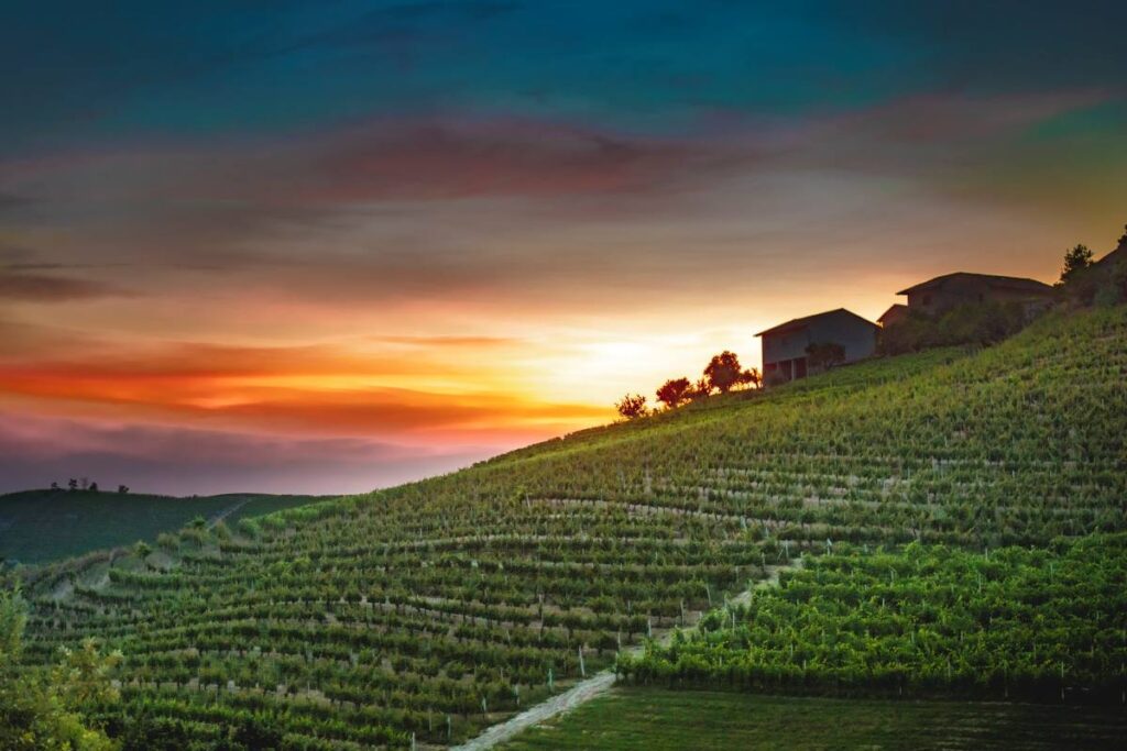 Approches estivales: Montalbera propose son produit phare en apportant avec lui le désir de fraîcheur, de légèreté et de convivialité.