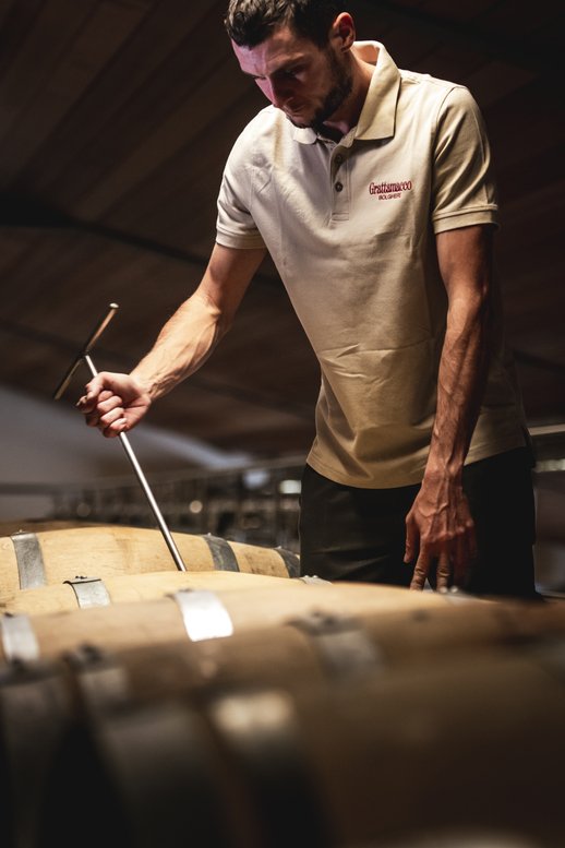 Grattamacco Bianco 2024 fête ses 40 ans : l'un des premiers Vermentinos de Bolgheri, entre saveur marine et élégance territoriale.