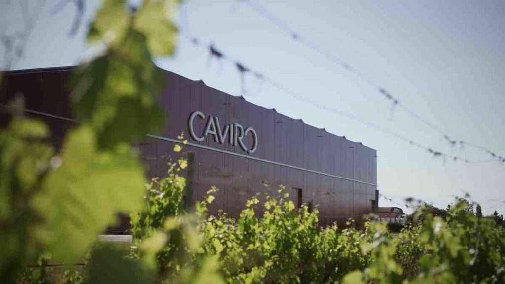 Caviro, reconnu international comme un exemple vertueux de l'économie circulaire, présente le sixième budget de durabilité 2024.