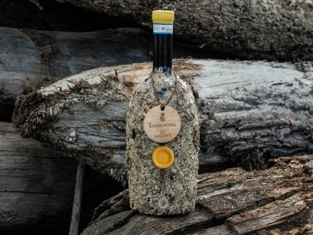 Sansonina à Laguna: le vin qui unit la terre de Lugana et la magie du lagon vénitien