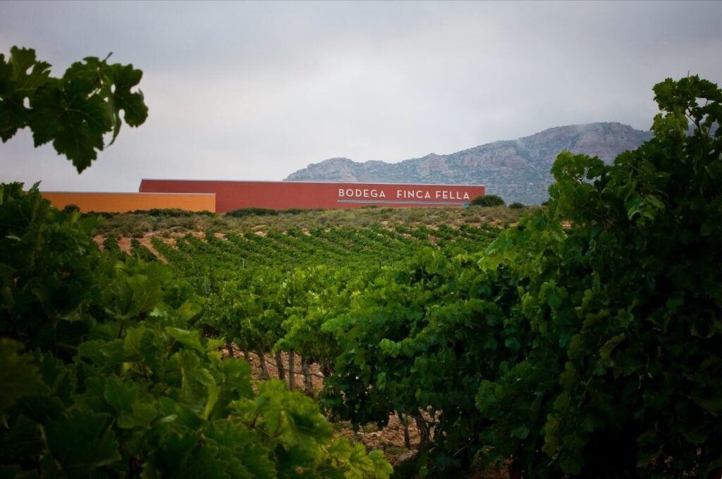 Le Fantini Wine Group a marqué un coup très important à l'étranger et s'ouvre ainsi à de nouvelles perspectives de croissance plus approfondie.