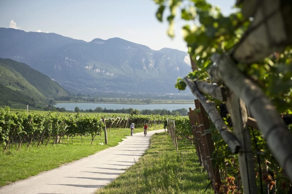Wine & Bike Alto Adige: Summer 2025 entre le cyclisme et les grands vins