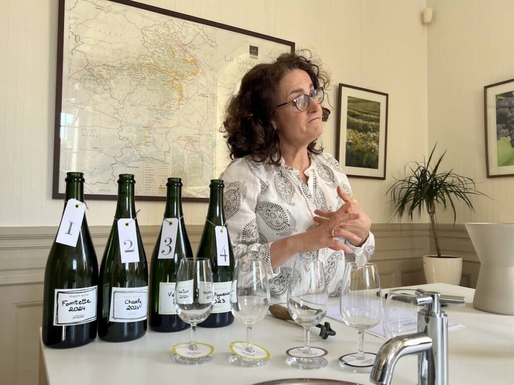 Immergez-vous dans le monde du champagne. Explorez ses arômes, ses saveurs et la vue enchanteresse des collines Reims.