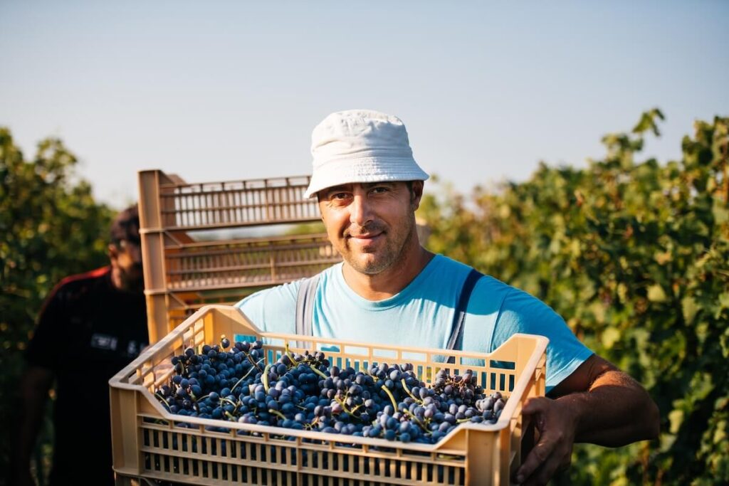 Dalla Barbera d’Asti al Grignolino: come servire in tavola i vini del Monferrato in estate