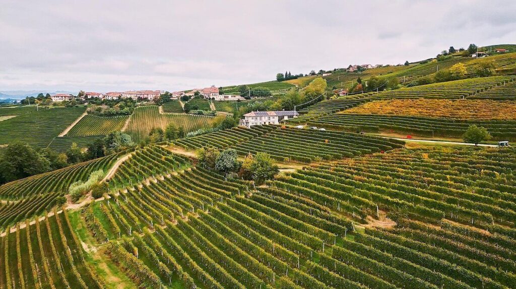 Barolo Serradenari et Barbaresco Montersino