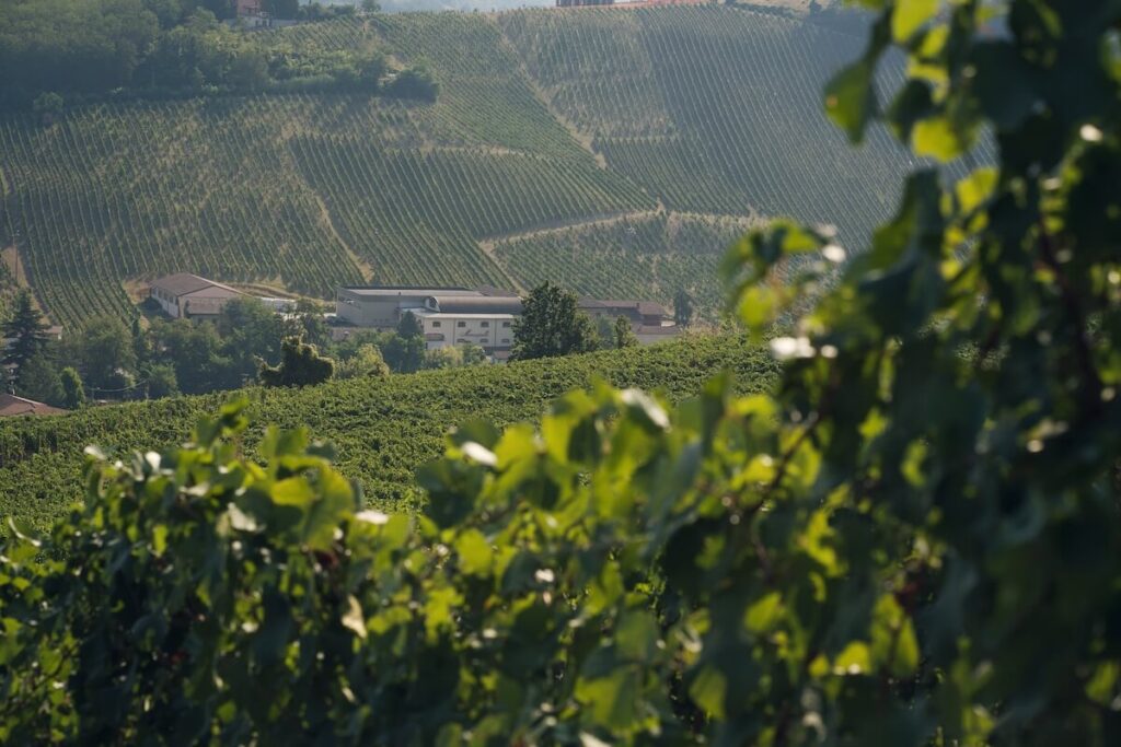 Monsupello Blanc de Noirs Oltrepò Pavese Docg Pinot Noir Méthode Classique Extra Brut est né, présenté en avant-première au Merano WineFestival.