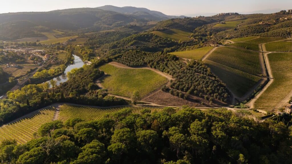 Des autochtones différemment : l'idée du Cru selon Artimino Wine Estate qui interprète l'identité des collines Médicis dans une clé contemporaine
