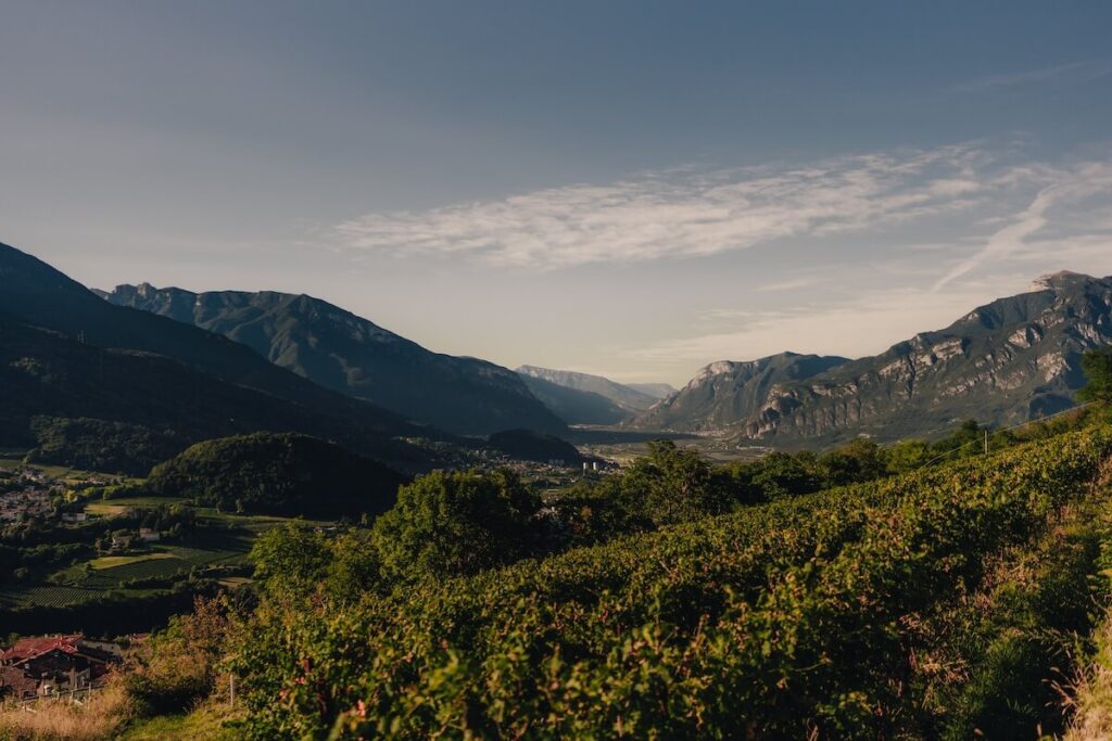 La cave trentinore Reví présente Cavaliere Bianco, sa nouvelle Méthode Classique Trentodoc Blanc de Noir Extra Brut Riserva