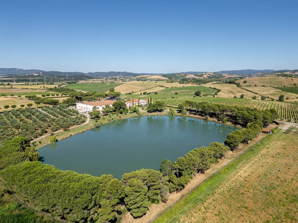 Groupe Zonin1821, stratégie de durabilité comme modèle économique : bilan et nouvelles trajectoires d'un protagoniste du vin italien