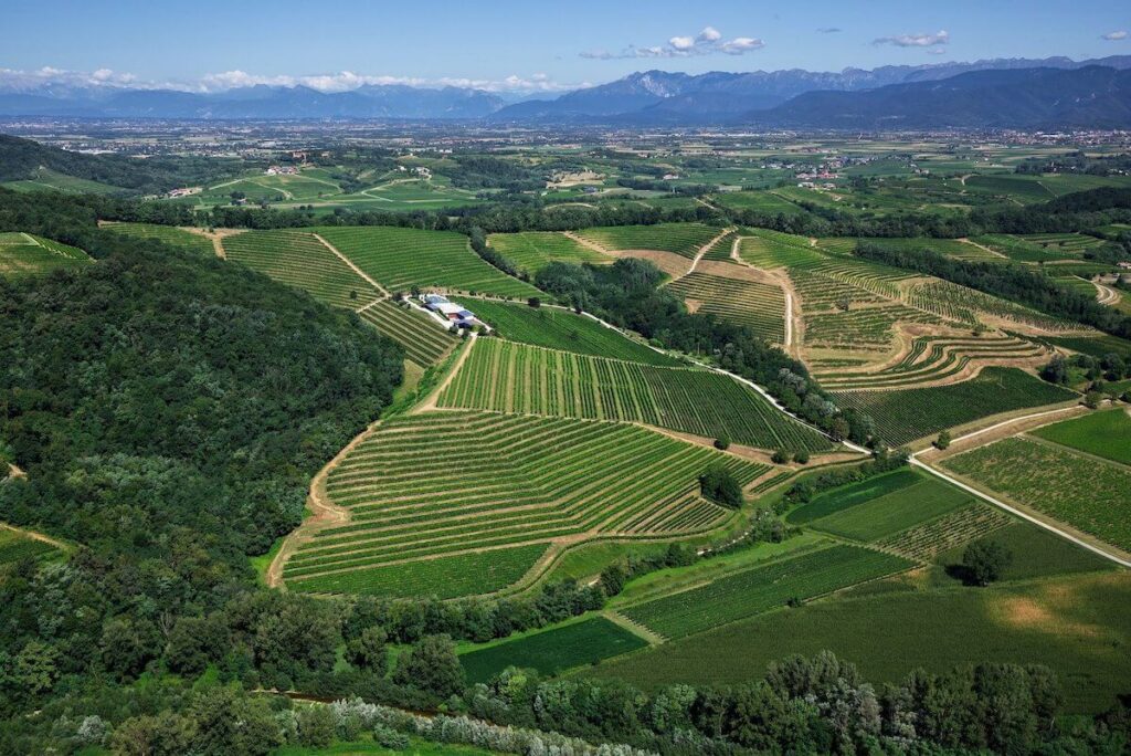 La Viarte celebra 50 años y acelera: 8,5 millones de inversiones, producción aumentada en 700%, objetivo de 300 mil botellas en 2026.