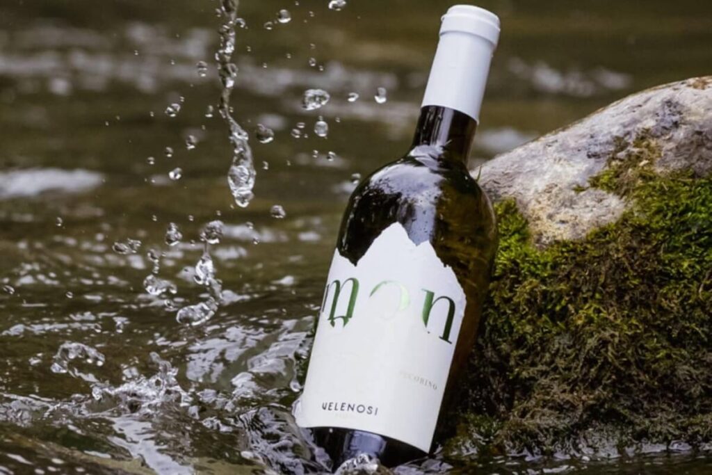 Montagna Falerio Doc: la nouvelle entrée Pecorino signée par Velenosi qui vise haut, un nouveau chapitre dédié à l'identité la plus pure de la vigne