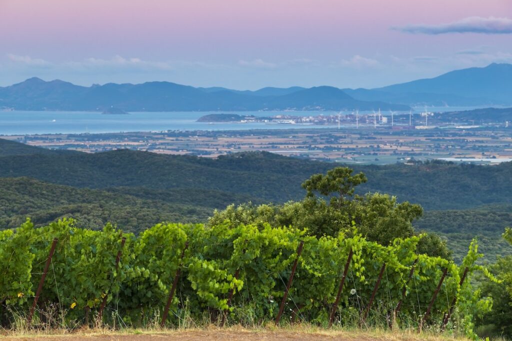 Petra: Montebamboli, il nuovo corso che ridisegna la Costa Toscana