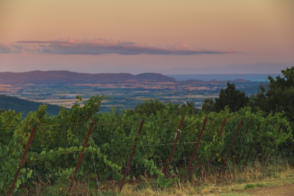 Petra: Montebamboli, el nuevo recorrido que redibuja la costa toscana