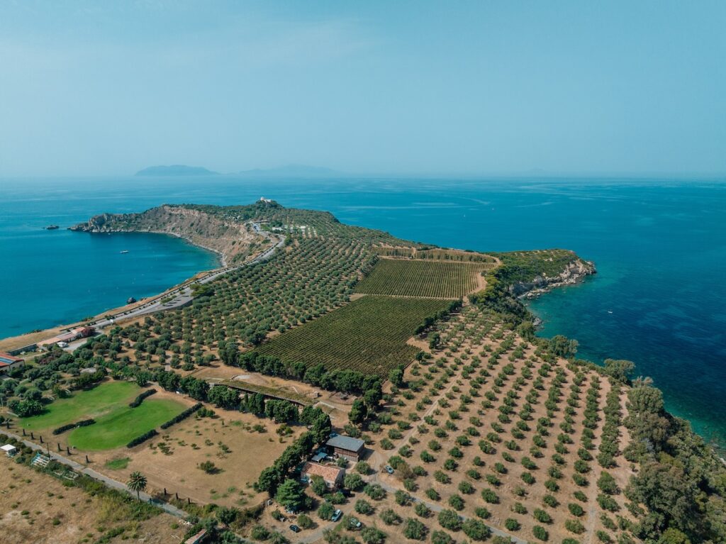 Édition spéciale de Planeta Chardonnay pour les 30èmes vendanges : art, territoire et durabilité dans un projet signé Claire Fontaine.