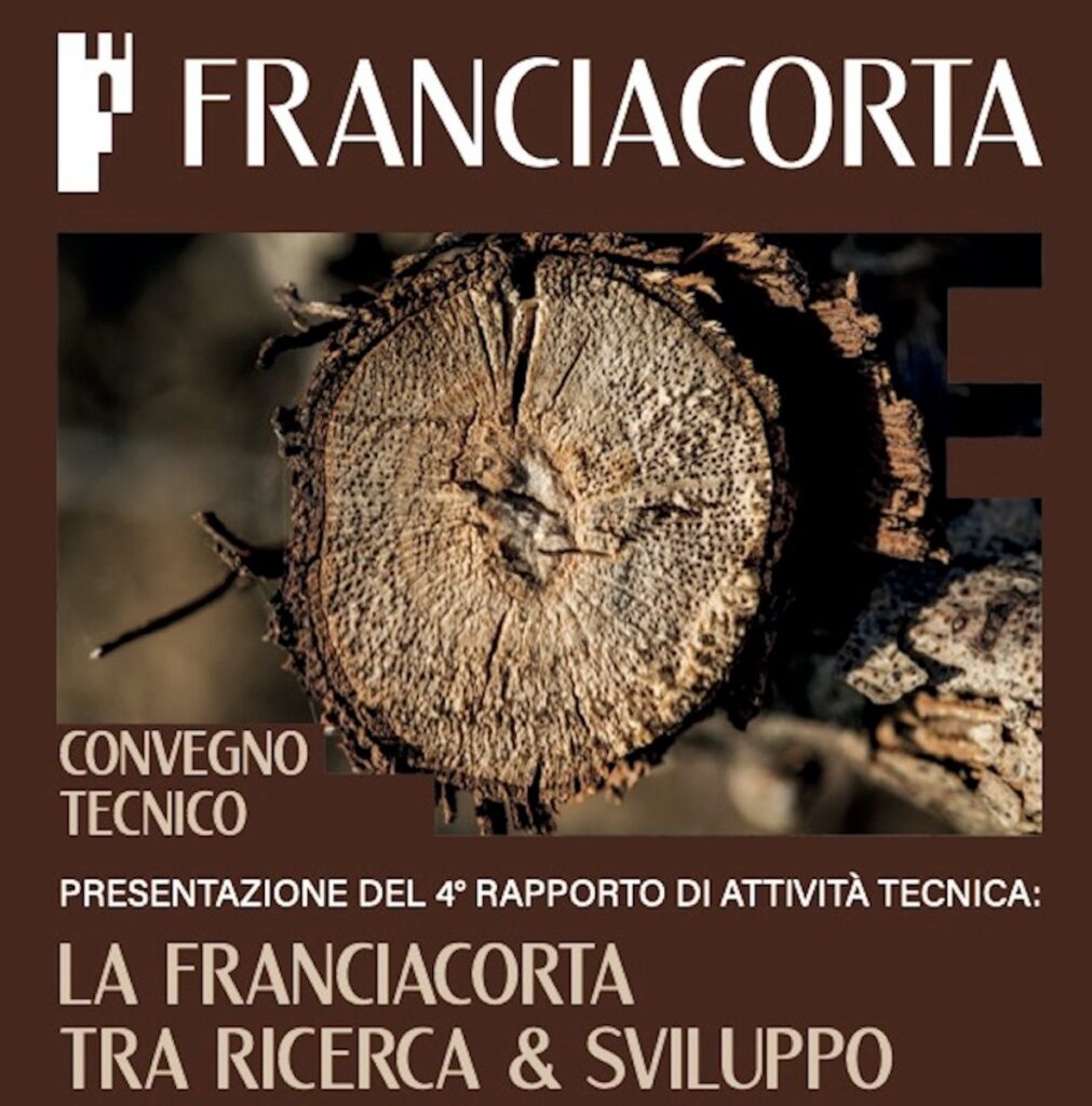 Il nuovo Rapporto R&S 2026 di Franciacorta analizza annata 2025, ricerca, sostenibilità e sperimentazioni enologiche.