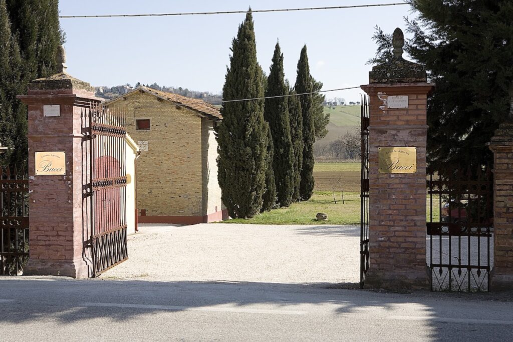 L'actualité des caves Oniwines à Vinitaly 2026