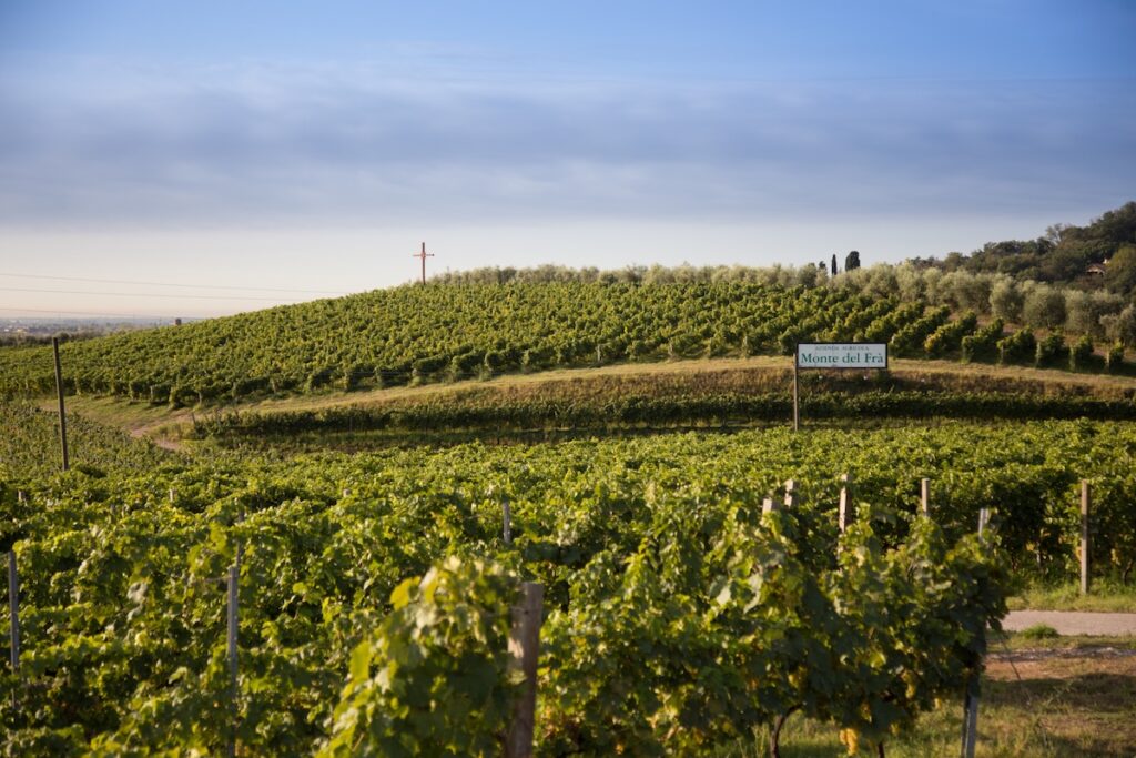 Le Bonomo Sexaginta Custoza Riserva 2022 fait ses débuts à Vinitaly 2026, une nouvelle évolution du symbole blanc du Monte del Frà.