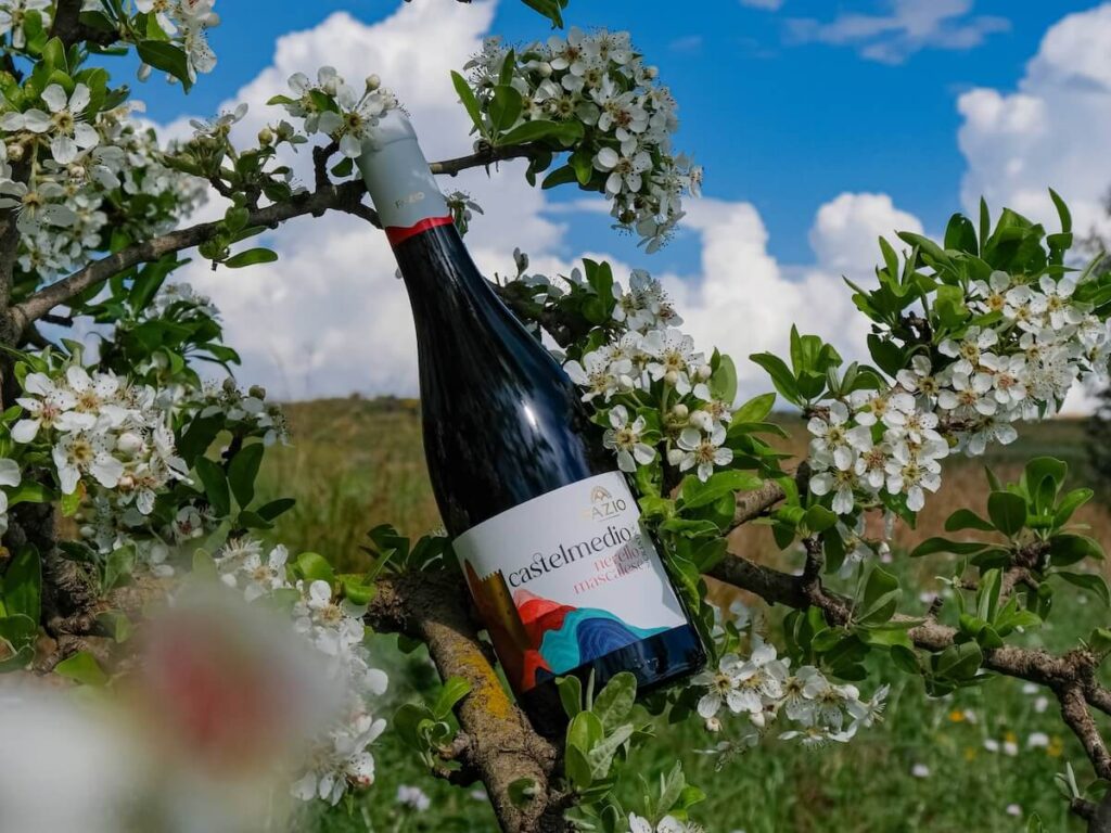 Fazio à Vinitaly 2026 avec le restyling de cinq étiquettes
