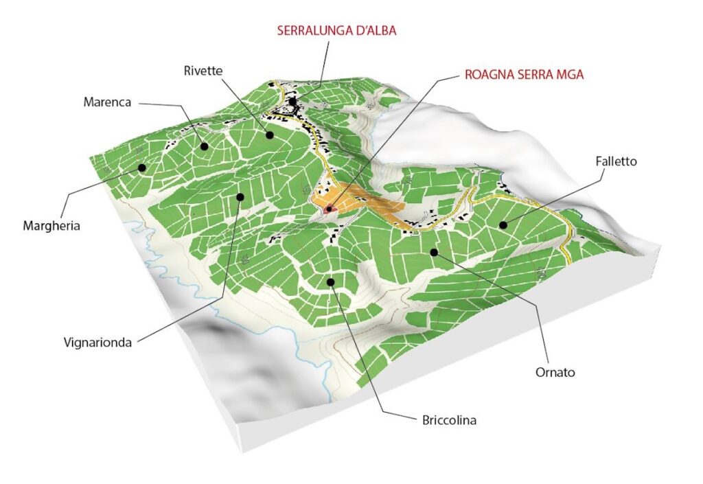 Barolo Serra 2021 est la nouvelle expression Roagna de l'historique MGA de Serralunga d'Alba, disponible à partir d'octobre 2026.