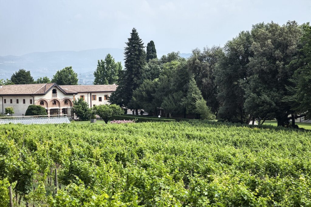 Lovers' Gambit fait ses débuts à Vinitaly 2026 : la nouvelle ligne Salvaterra raconte la Valpolicella du XVe siècle
