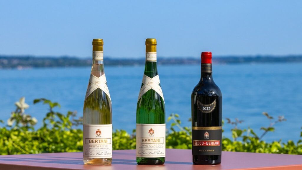 Secco, Soave e Bertarose diventano Vintage Edition: Bertani rilancia tre etichette storiche con stile attuale e identità territoriale.