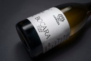 Cavazza presenta Bocara, Tai Rosso e Lessini Durello: tre vini veneti ideali per l’estate, tra leggerezza, tipicità e carattere.