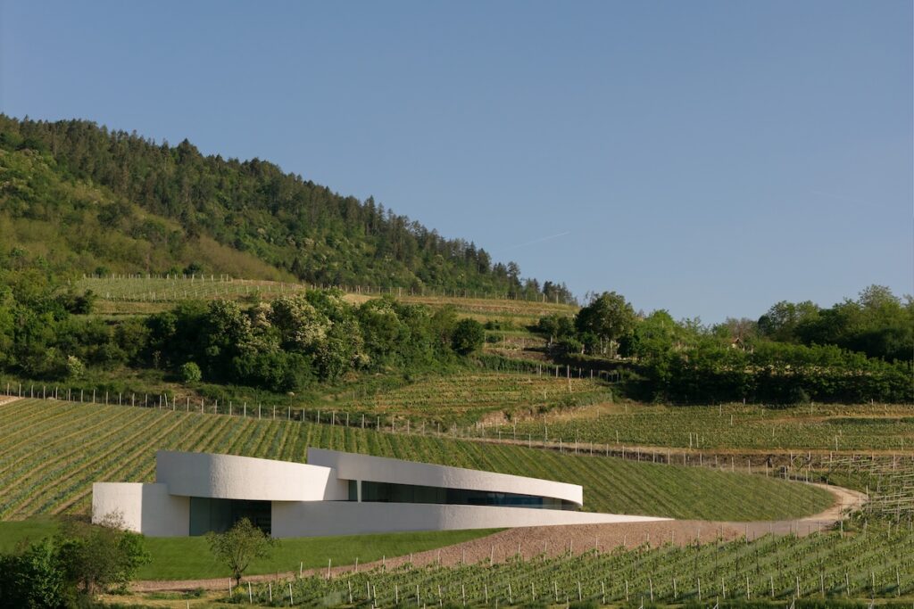 Ouverture de la nouvelle cave Moncalisse : architecture, durabilité et excelente enoturismo entre les bulles de Monte Calisio et Trentodoc.