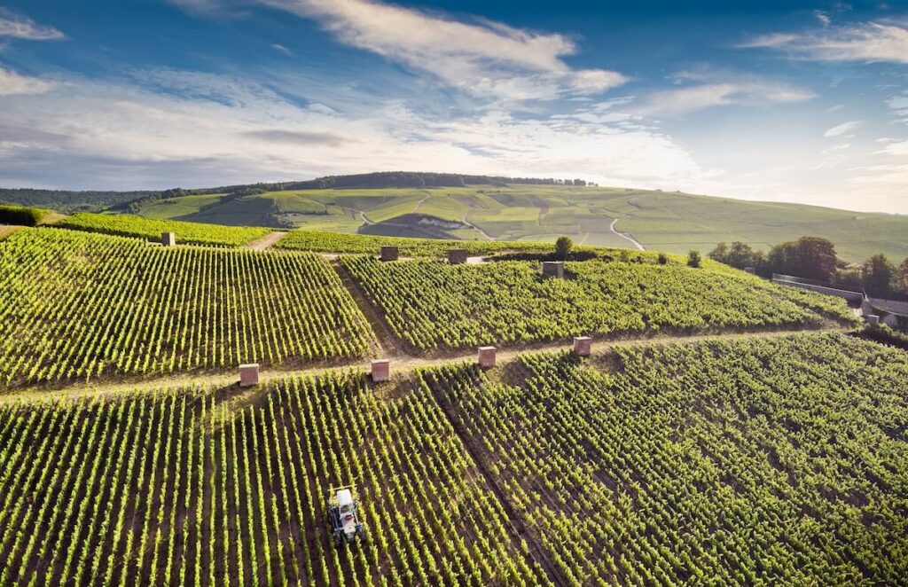 La Maison Deutz présente Amour de Deutz 2015, la nouvelle cuvée de prestige Blanc de Blancs née de sept Grands et Premiers Crus de la Côte des Blancs