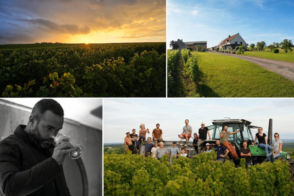 le Pouilly-Fumé biodynamique de la Loire