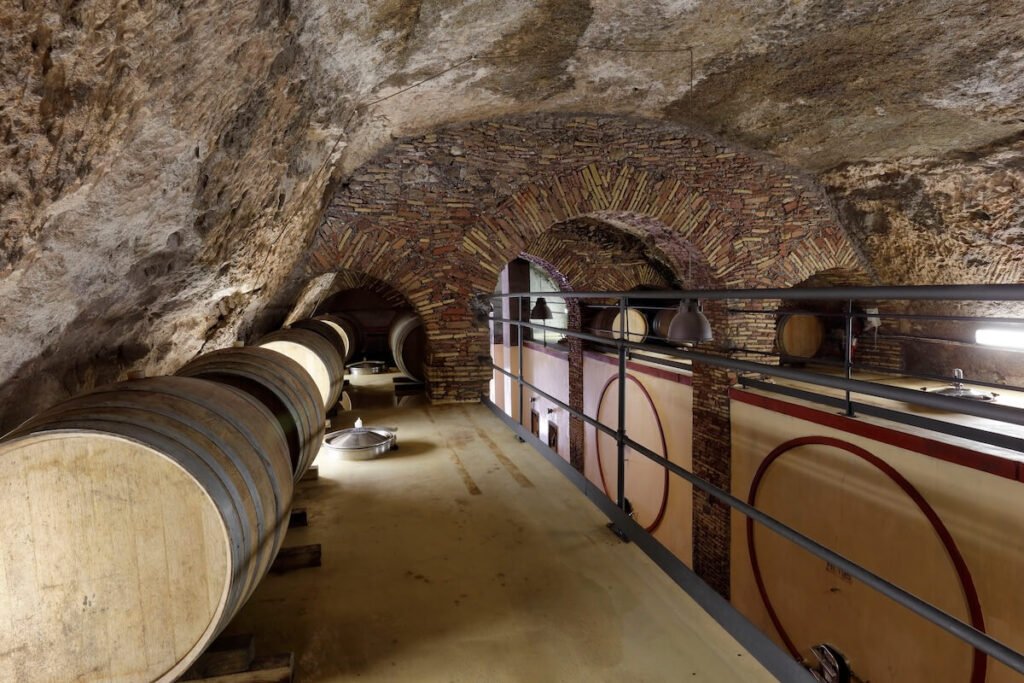 Castello di Torre à Pietra: tres vinos de viñedo único cuentan el alma de la costa del Latio a pocos kilómetros de Roma.